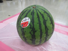特大すいか