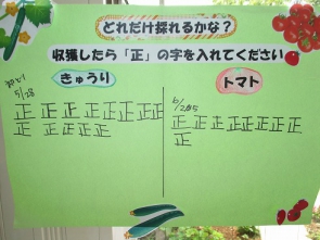 正の字入れるのも楽しいもんです。