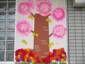 大きな幹の桜です。