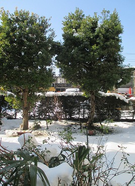 雪の後の晴れ間。