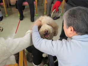 気持ちもふわふわだねえ