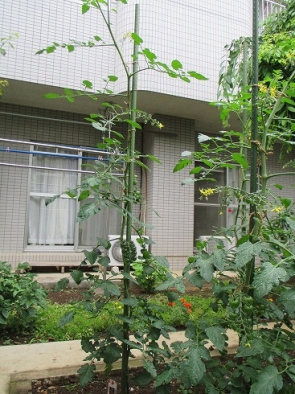 支柱と同じ高さに…