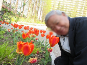 男性の方もお花が好きな人は多いですね！チューリップの良い香りを嗅ごうと顔を近づけてパチリ♪　満面の笑みです