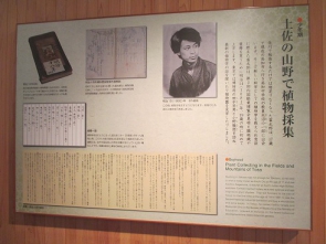 神木隆之介に似てる？