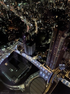 森タワーから見た夜景です。けやき坂が綺麗でした！