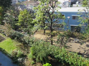 園庭の向こう側が橋戸公園なんです。