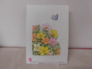 水彩色えんぴつクラブ「ポーチュラカとルリシジミ」