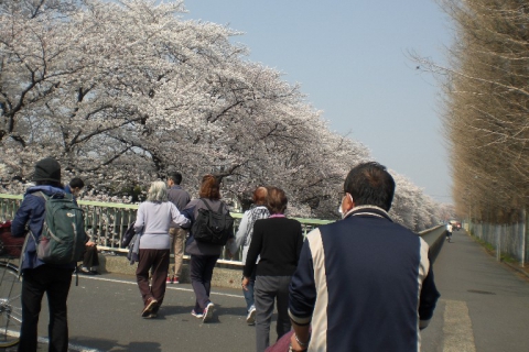 桜が満開できれいですね♪