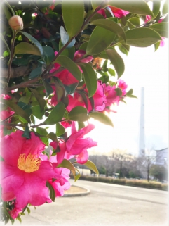 光が丘公園