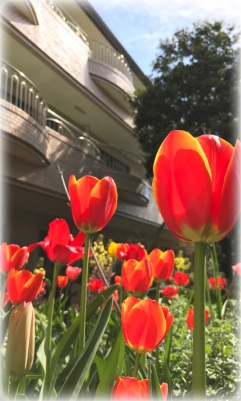 ～　田柄特別養護老人ホーム　中庭　～
