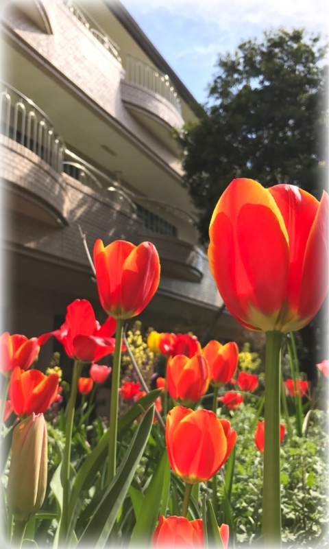 ～　田柄特別養護老人ホーム　中庭　～