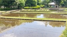 田植えのつどい前