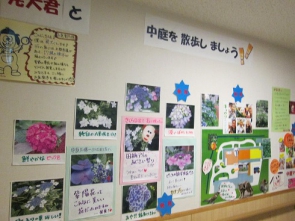 中庭の様子を紹介しています