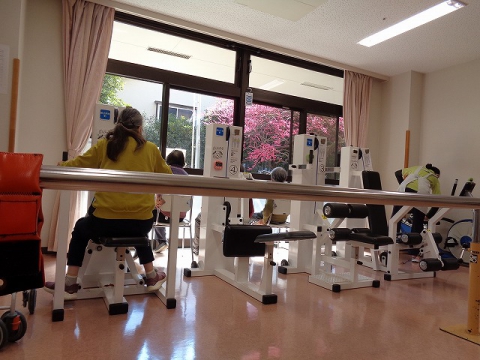 お花見しながら運動します！