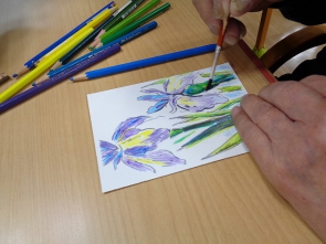 5月なので花しょうぶ！