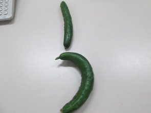 きゅうりの「う」