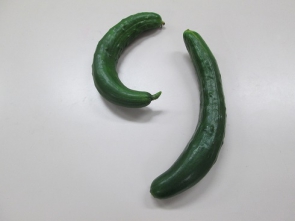 きゅうりの「り」