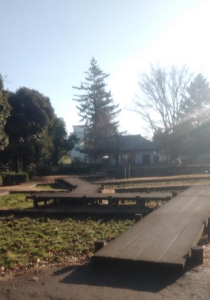 田柄の近くの風景朝日がきれいです。