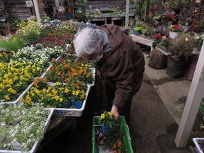 園芸店で買い出し