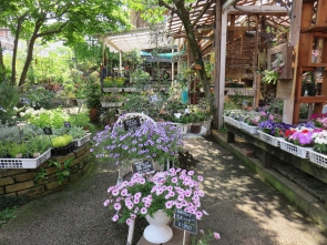 近所の花屋さんへお散歩＆お買い物