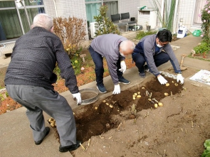 じゃがいも堀り