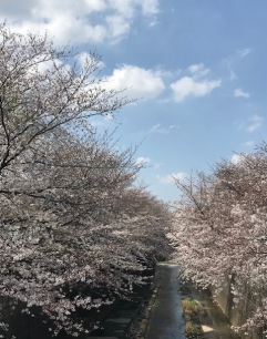 天気も快晴！