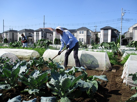 農園と私