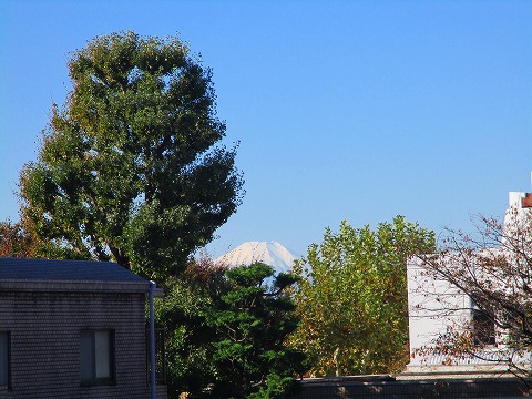 ☆事務所からみた富士山☆