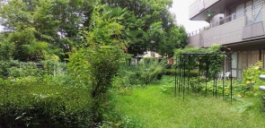 生い茂る中庭