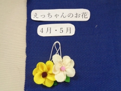 その名は“えっちゃんのお花”