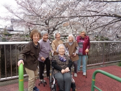 桜が手に取れるほど近くでお花見がきました♪