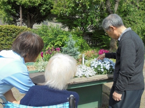 この花は何でしょう？