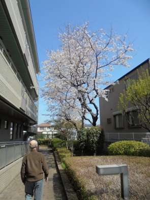 花を好きなのは女性ばかりではありませんよ