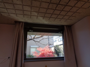 　　　四角い窓から見える紅葉はまるで絵画のよう