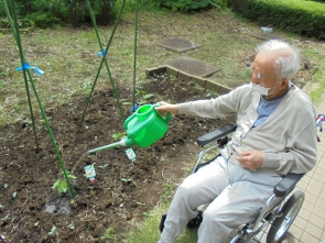 水やりの責任者になってもらいました