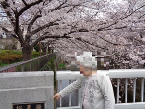 桜見橋って教えてくれています。