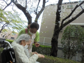 事業所敷地内も桜が咲きました♪