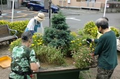 　　　　　　　　　　　　　　　花壇も秋の装いに