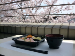 　　　　　　　　　　　　♡今日のおひるは「お花見弁当」♡