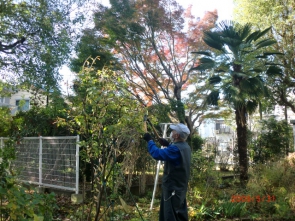 　　　　　　　　中庭で活動中