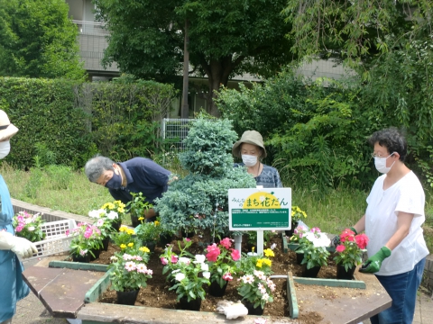  　　　　　　　　　　　　　　　                               「陽だまり緑地」