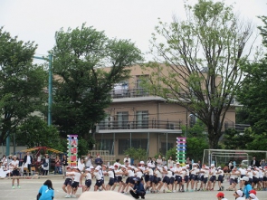 校庭側から見た橋戸の丘です。