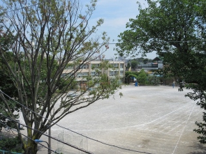 橋戸の丘3階のバルコニーから見た橋戸小学校です。