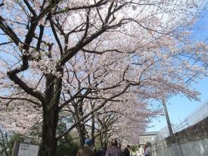 何度も見上げました。