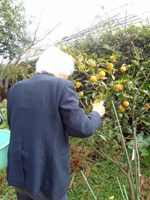 名句が浮かんだそうです