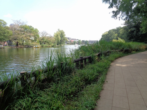 石神井公園