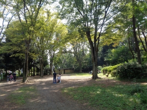 夏の風景