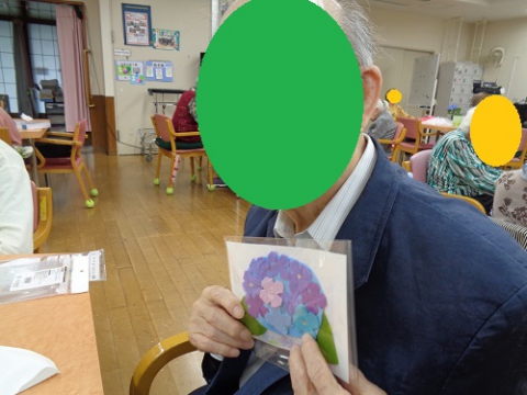 アジサイ