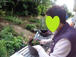 植木鉢でプチ園芸