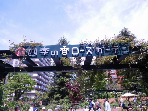 一番近くていいところ♥